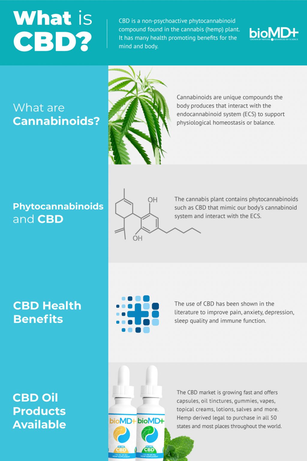 What Does CBD Do? CBD Oil and Cannabinoids Effectiveness