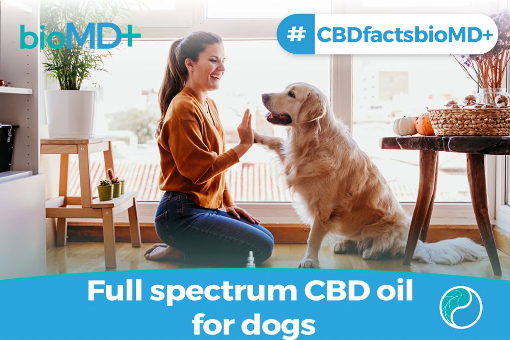 Full spectrum CBD oil for dogs