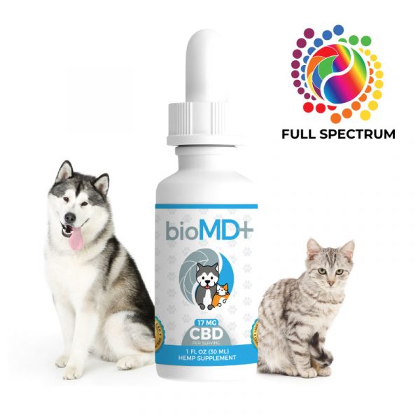 pet cbd oil