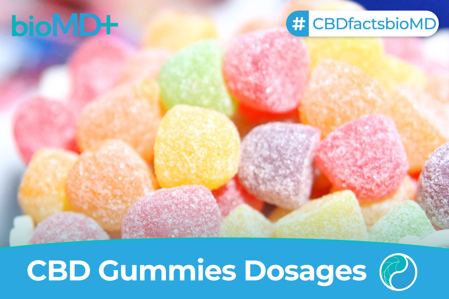 CBD Gummies Dosage Guide September 2023