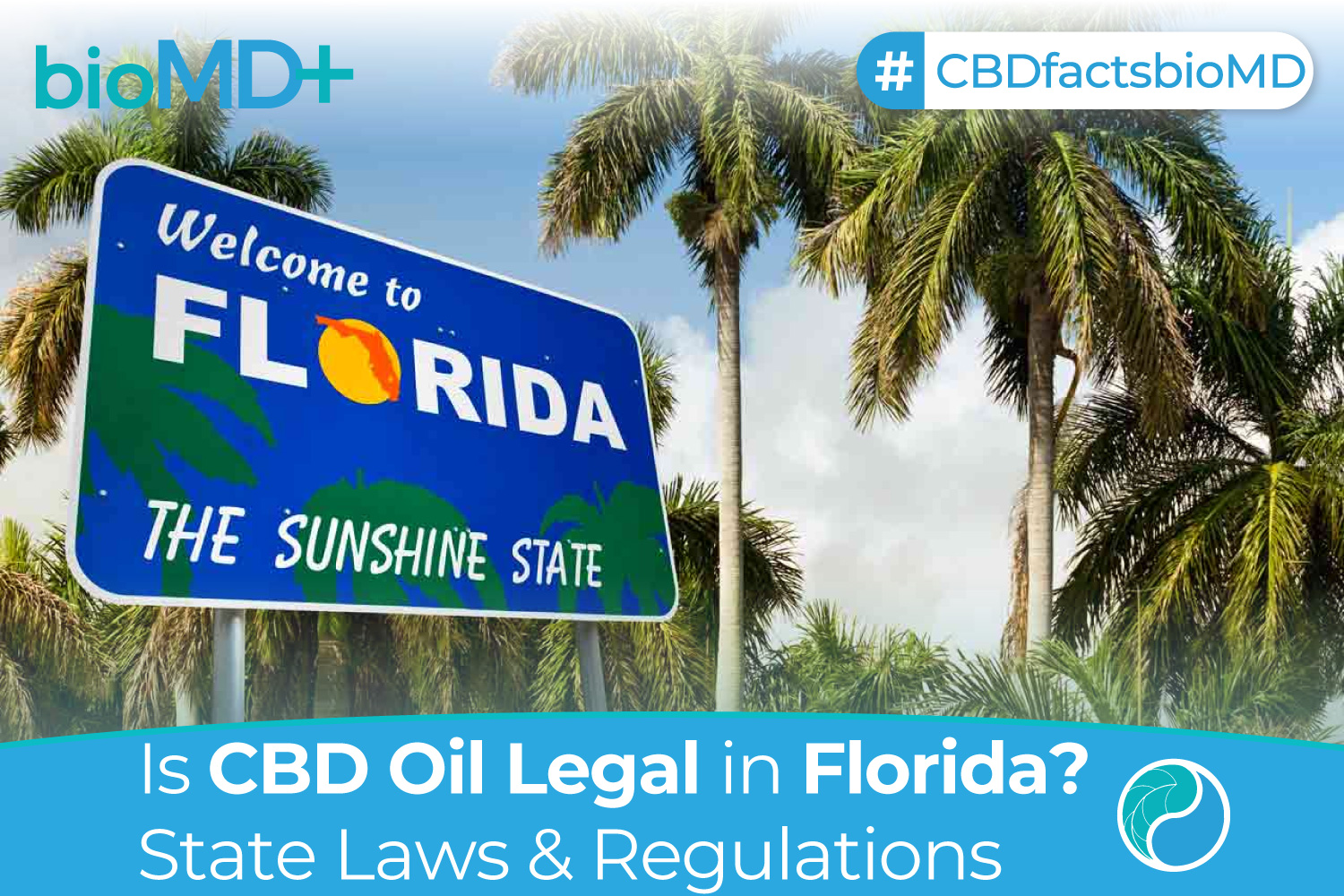 Is CBD Oil Legal in Florida August 2023
