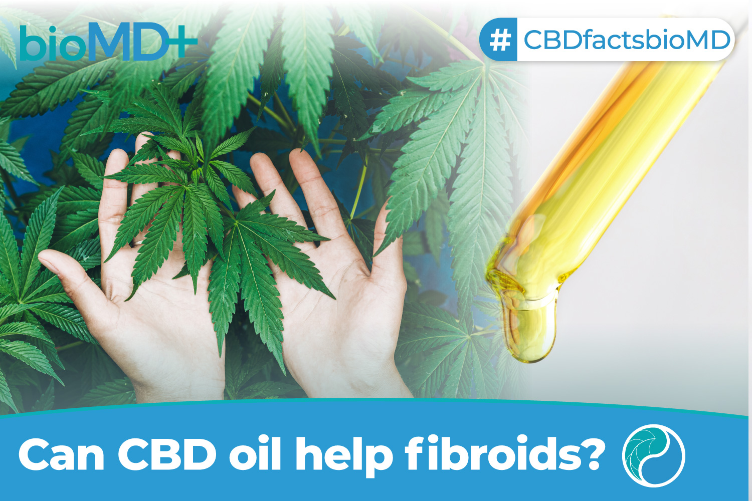 can cbd oil help fibroids how tincture