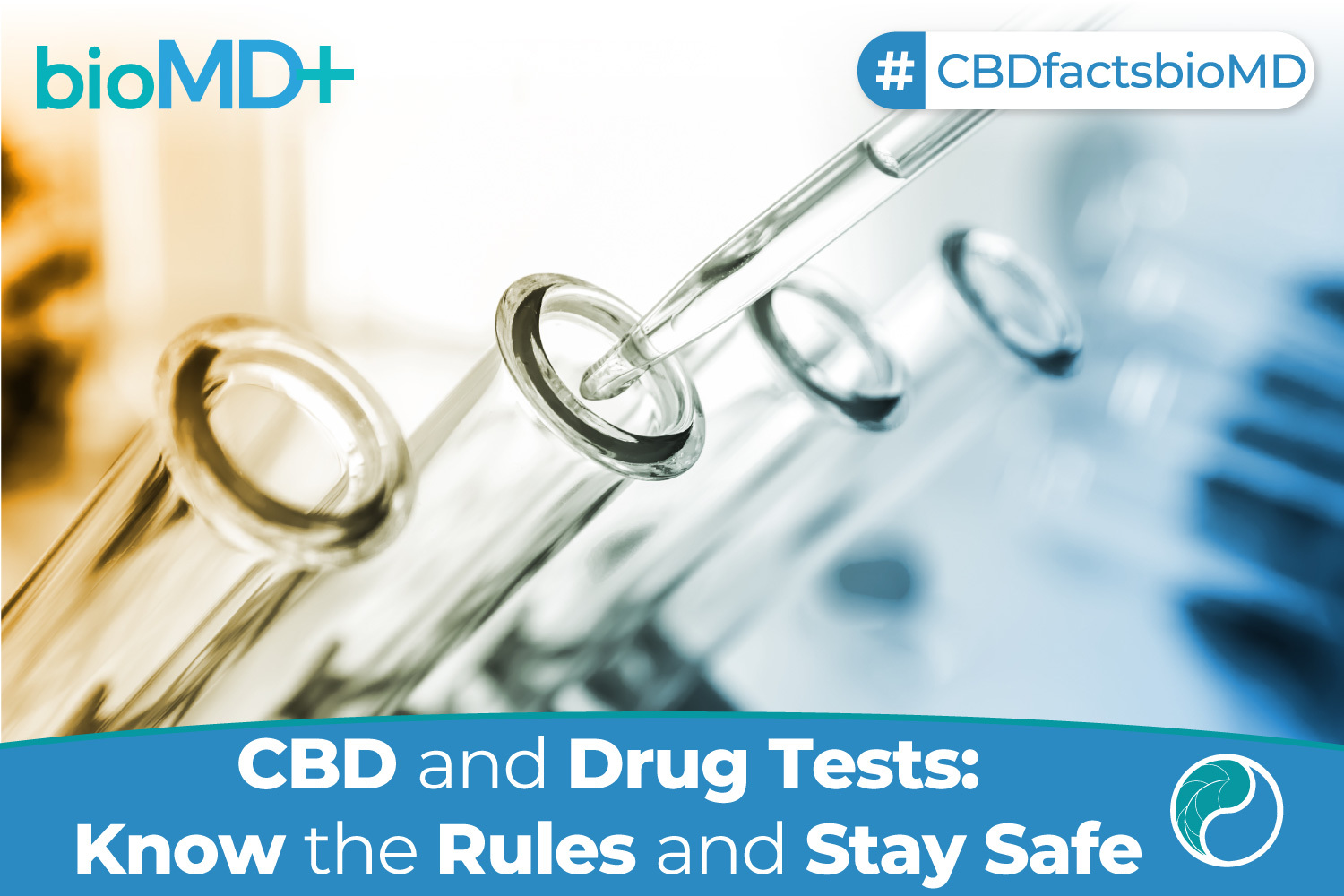 CBD And Drug Tests: Read Bofore Drug Test And Stay Safe