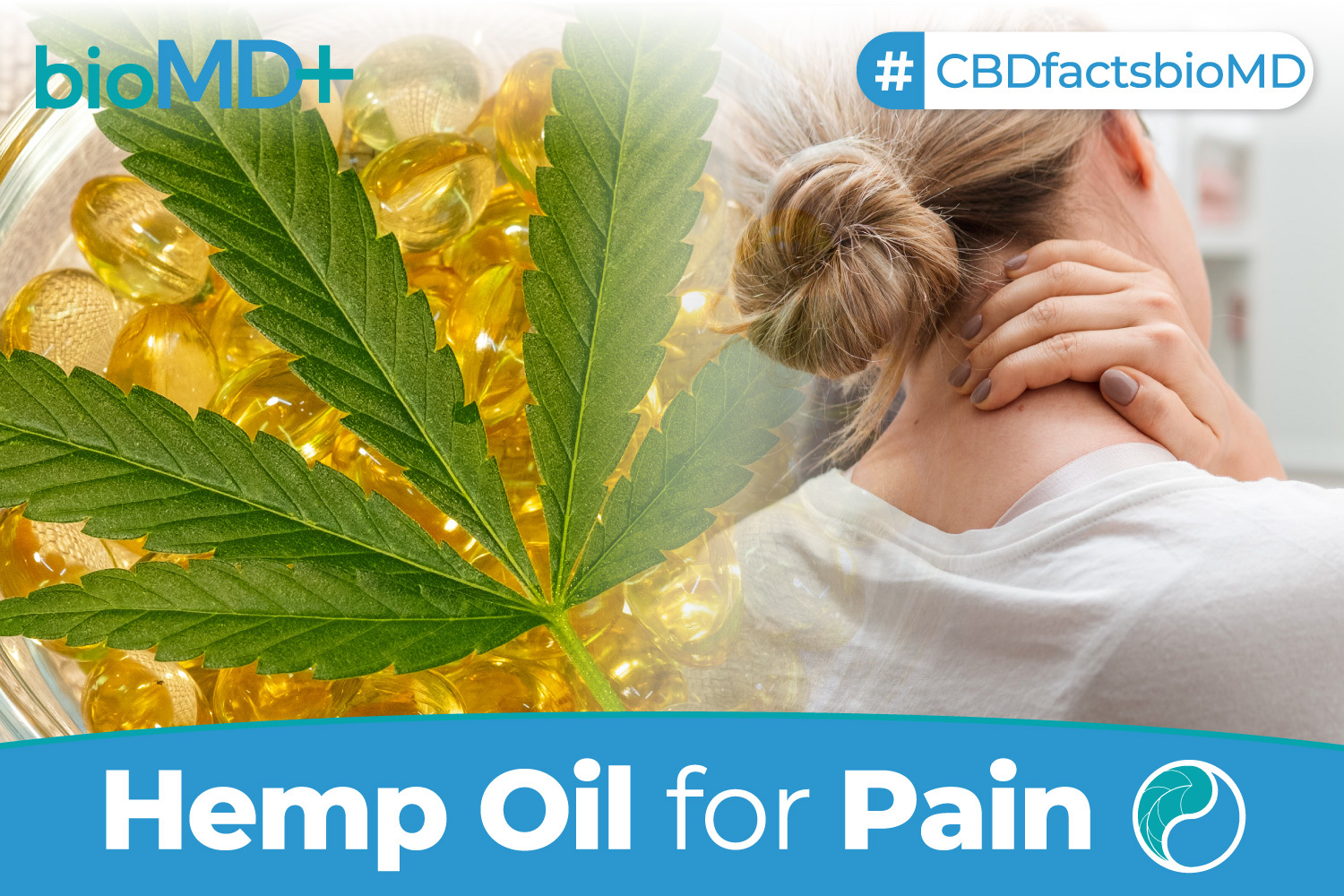 Hemp Oil for Pain The Latest Research And Dose