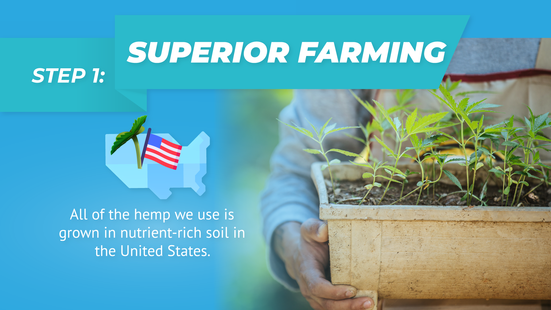 SUPERIOR FARMING All of the hemp we use is grown in nutrient-rich soil in the United States. Our farmers operate under strict guidelines; not only does this enhance the quality of our natural proprietary strains, but it also makes sure our products are safe, regulated and unsurpassed in their potency and consistency.