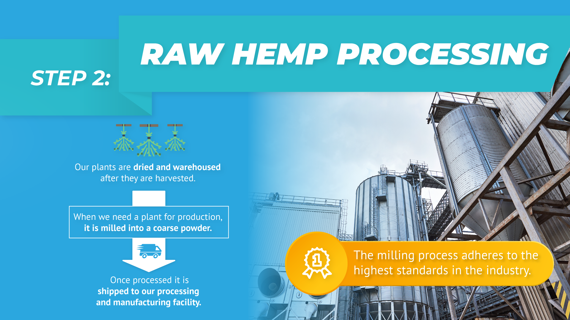 RAW HEMP PROCESSING Our plants are dried and warehoused after they are harvested. When we need a plant for production, it is milled into a coarse powder. The milling process adheres to the highest standards in the industry. Once processed, it is shipped to our processing and manufacturing facility.