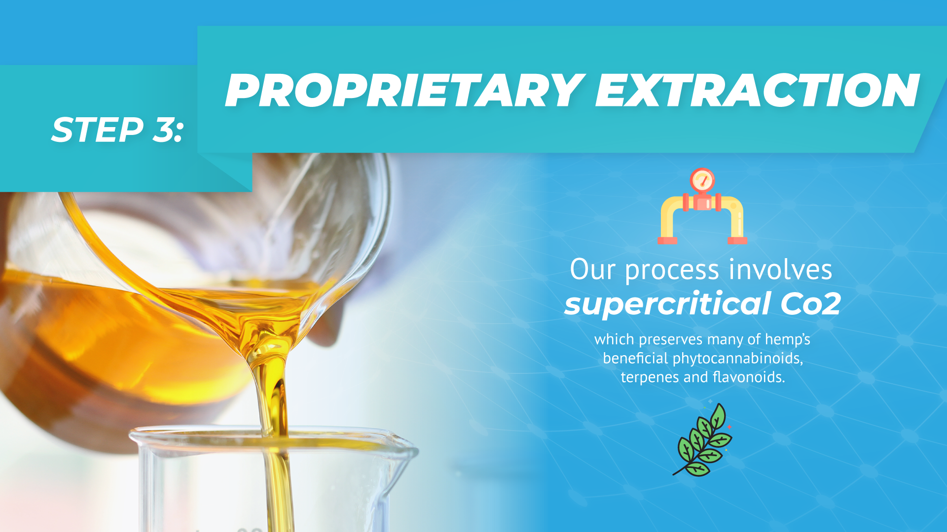 PROPRIETARY EXTRACTION Our process involves supercritical Co2, to preserve many of hemp’s beneficial phytocannabinoids, terpenes and flavonoids. The result? The highest quality broad spectrum hemp oil available. While CBD on its own offers many benefits, a growing body of research has found that a broad-spectrum product leads to multiplying benefits. This is called the entourage effect. Once extracted, undesirable plant solids like waxes are removed from the oil.