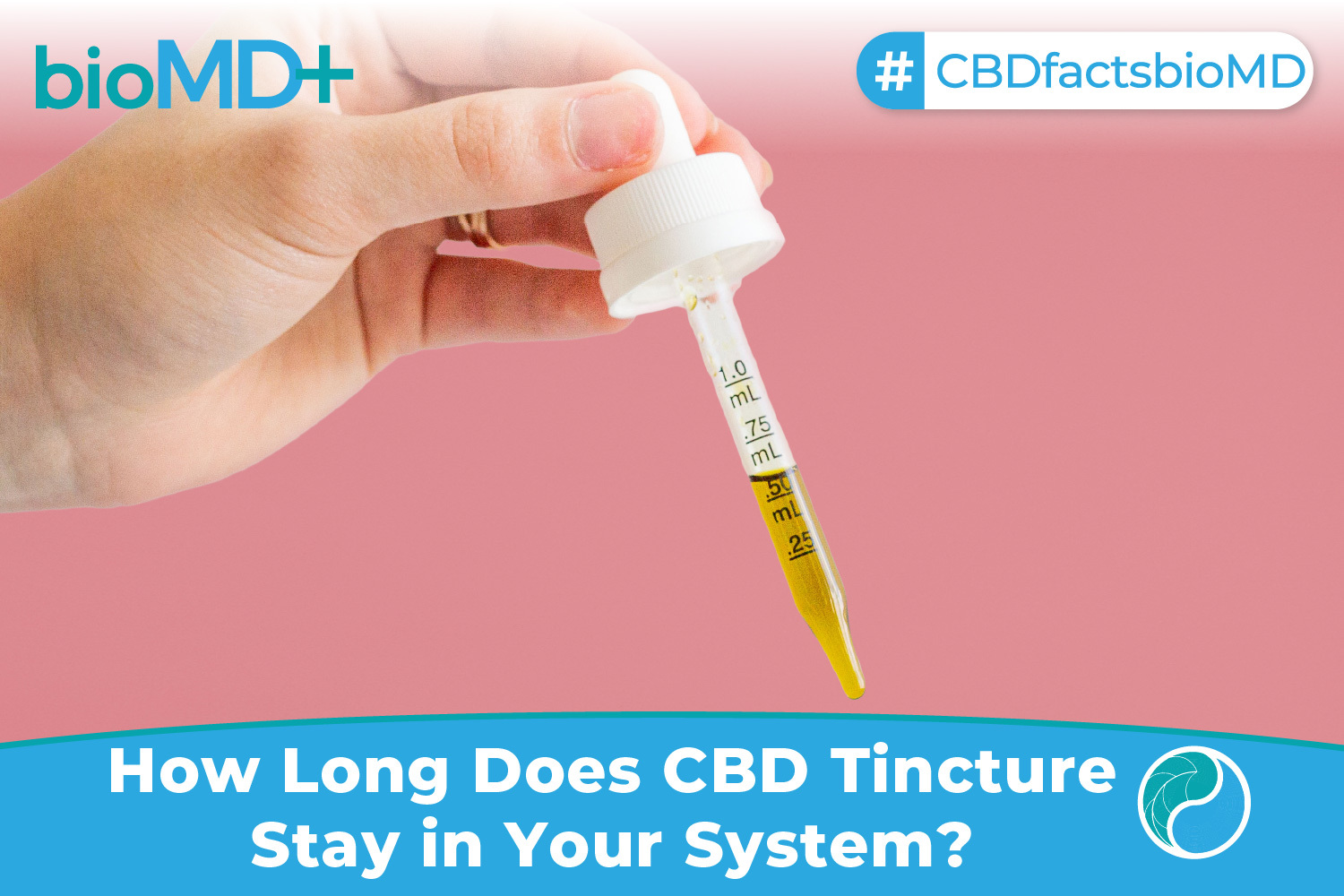 How Long Does CBD Tincture Stay in Your System? FULLY EXPLAINED October