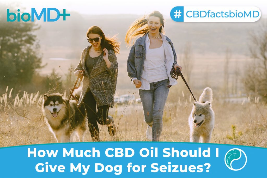 bio article How Much CBD Oil Should I Give My Dog for Seizues