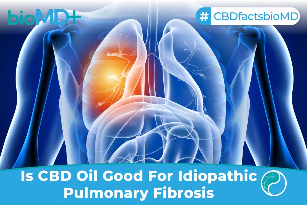 bio article Is CBD Oil Good For Idiopathic Pulmonary Fibrosis