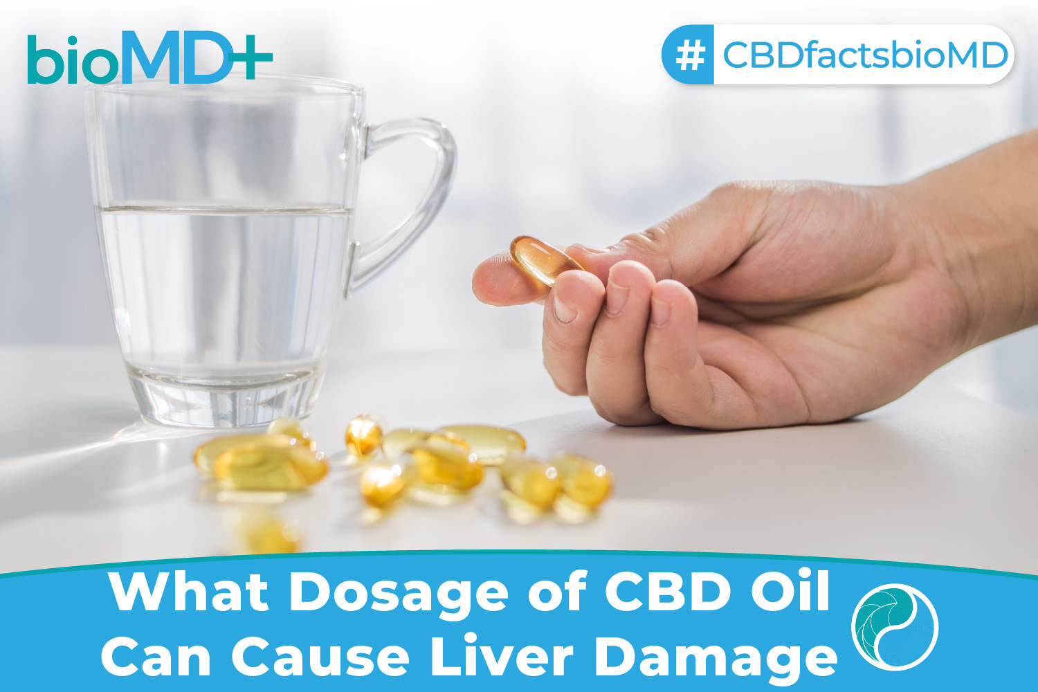 what-dosage-of-cbd-oil-can-cause-liver-damage-what-the-research-says