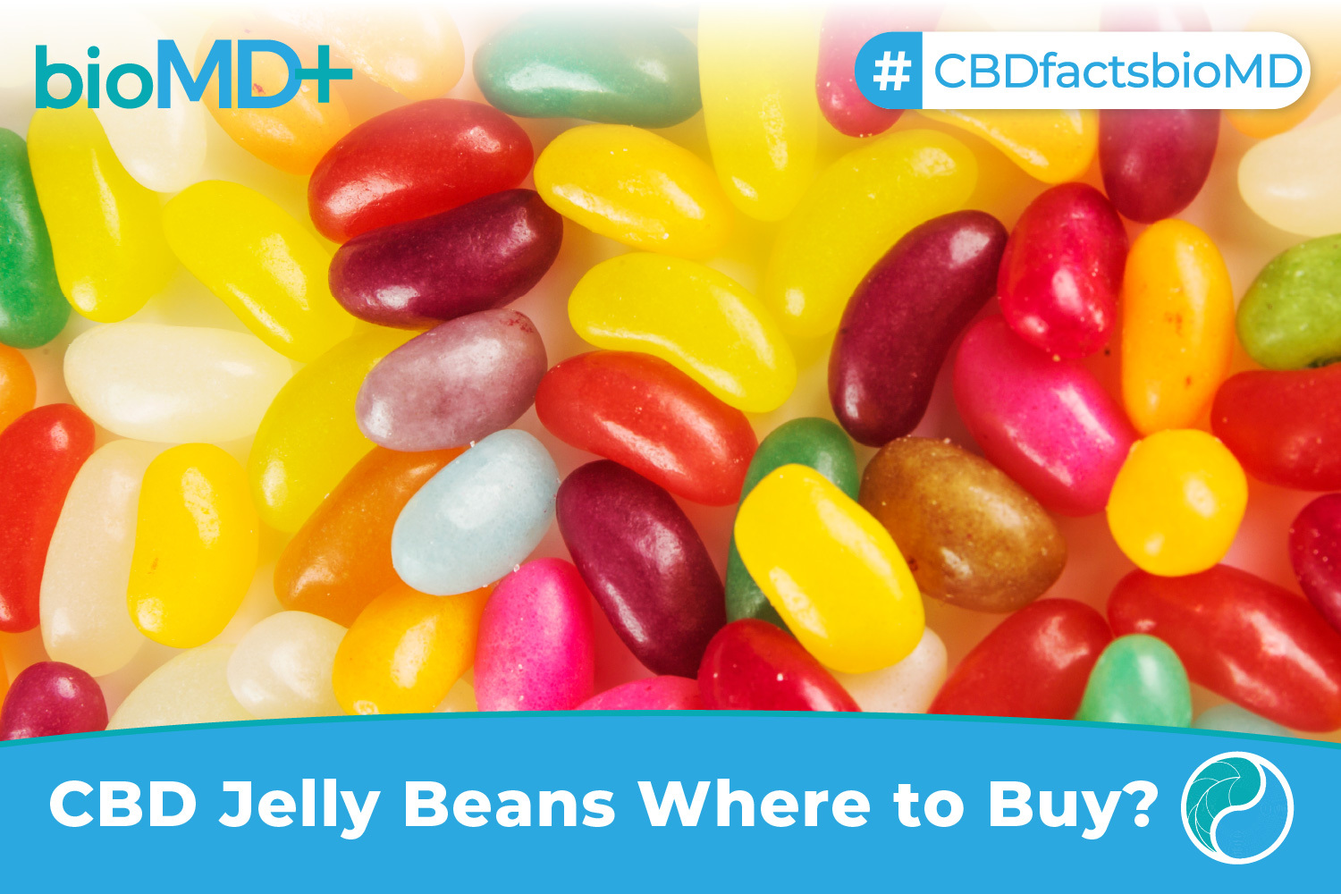 CBD Jelly Beans Where To Buy? Read This Tips November 2023