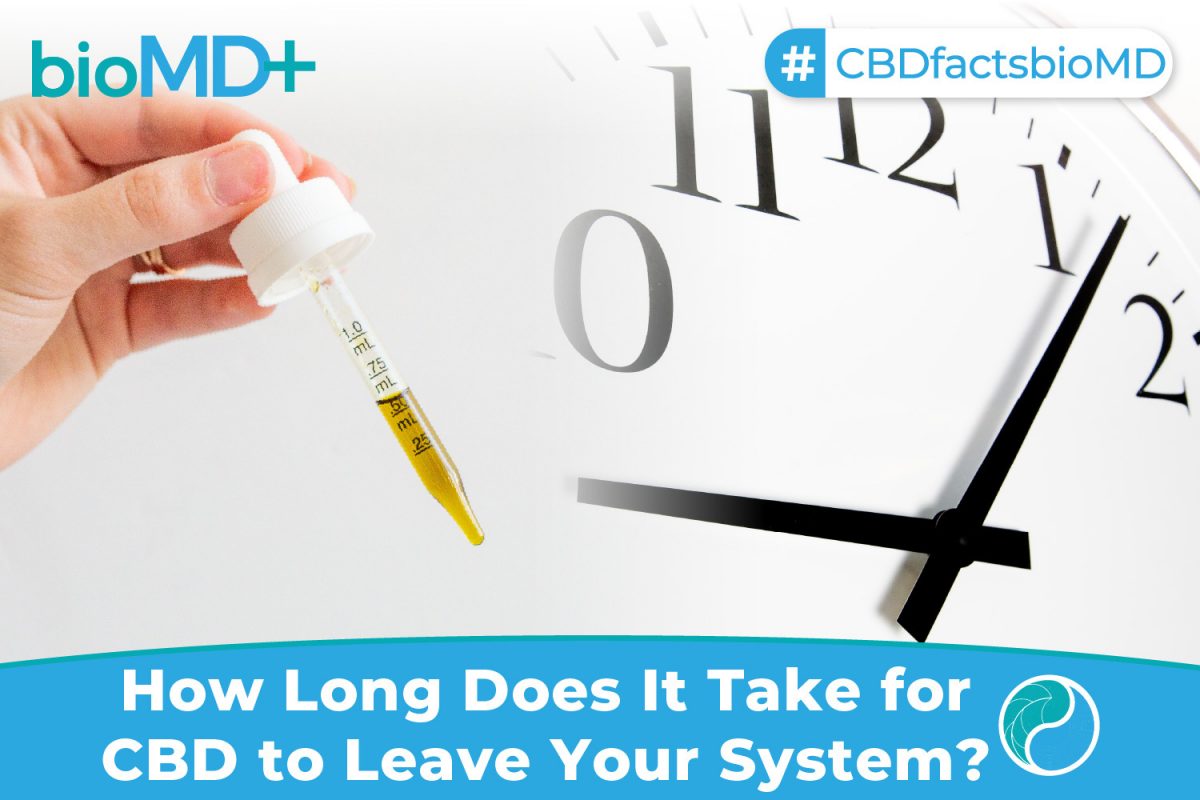 how long does it take labetalol to leave your system