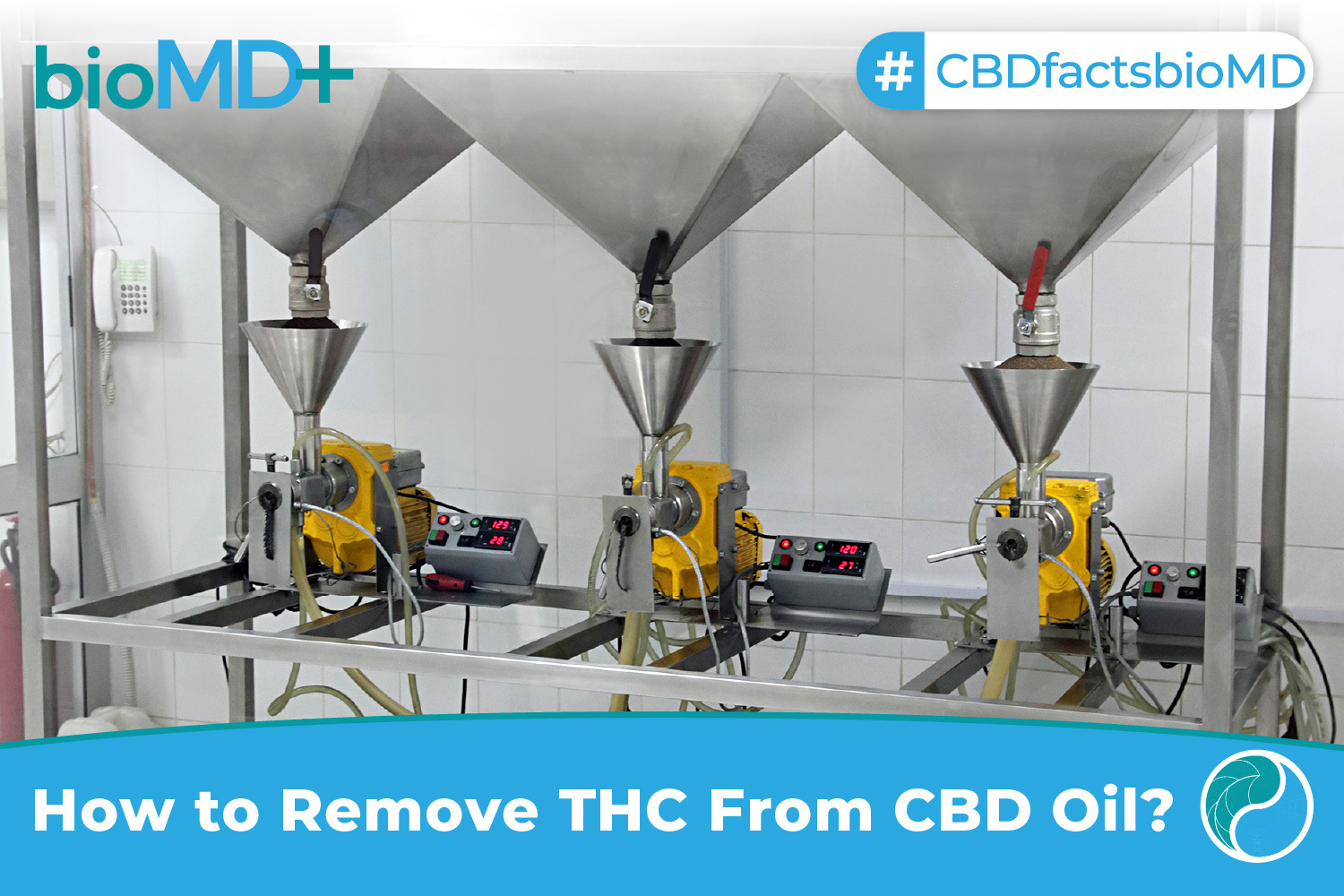 How To Remove THC From CBD oil? Here Are The Best MethodsDecember 2023