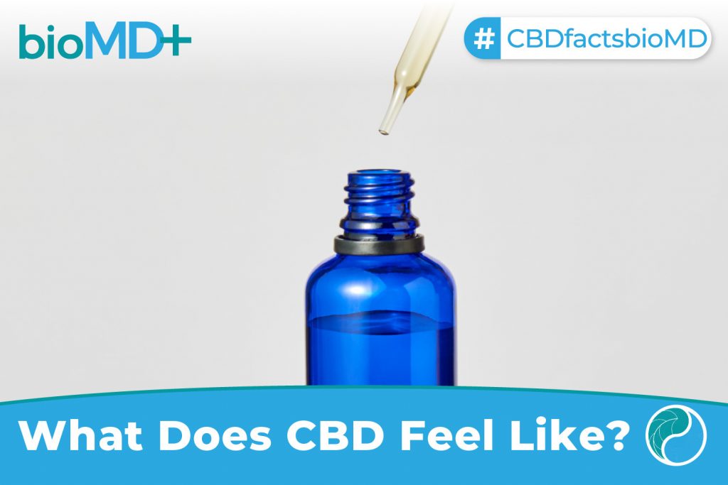 bio article What Does CBD Feel Like-