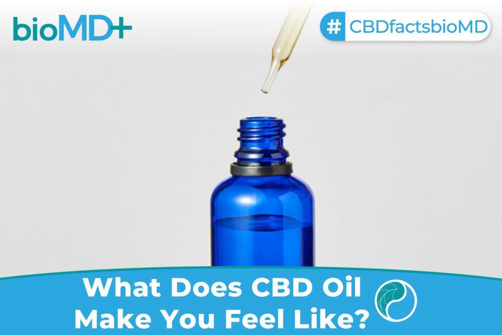 bio article What Does CBD Oil Make You Feel Like-