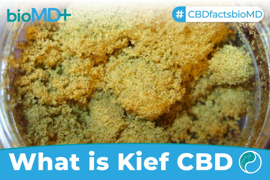 bio article What Is Kief CBD-