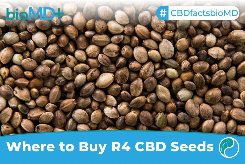 bio article Where to Buy R4 CBD Seeds-